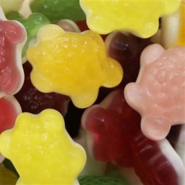 Snoep schildpadjes in huis halen!