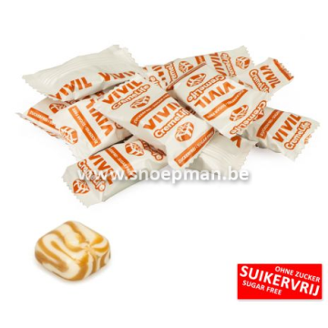 VIVIL Caramel suikervrij online bestellen
